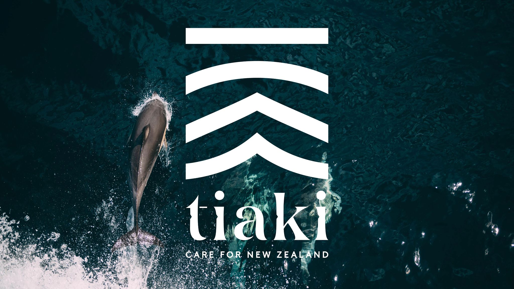 Tiaki-Promise-Tourism-New-Zealand-Banner.jpg Tiaki-Promise-Tourism-New-Zealand-Banner.jpg